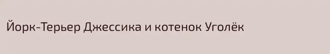 Йорк-Терьер Джессика и котенок Уголёк